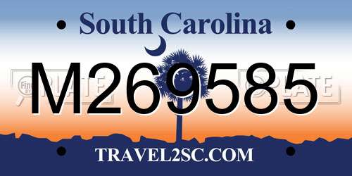 M269585 South Carolina License Plate