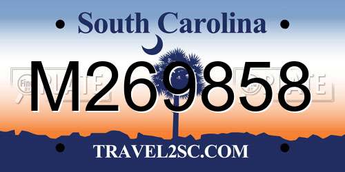 M269858 South Carolina License Plate