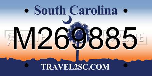 M269885 South Carolina License Plate