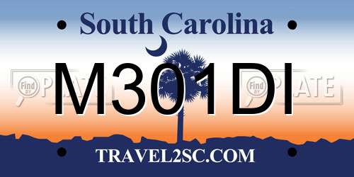 M301DI South Carolina License Plate