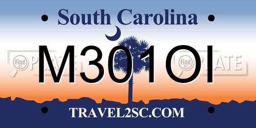 M301OI South Carolina License Plate