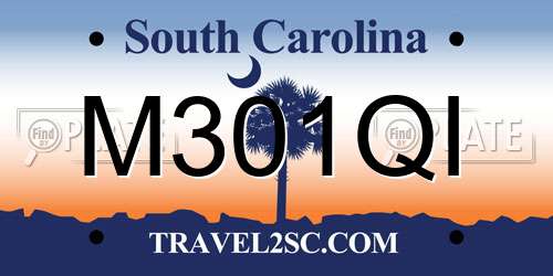 M301QI South Carolina License Plate