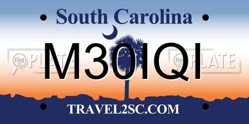 M30IQI South Carolina License Plate