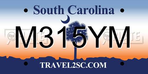 M315YM South Carolina License Plate