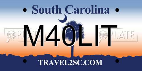 M40LIT South Carolina License Plate