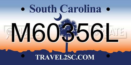 M60356L South Carolina License Plate