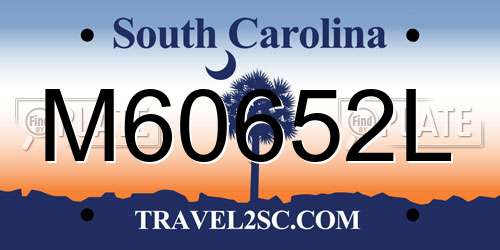 M60652L South Carolina License Plate