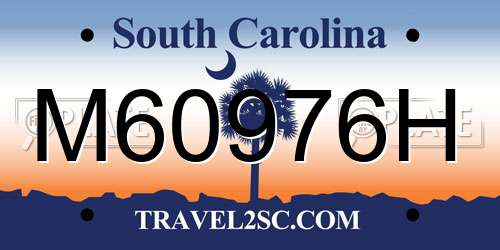 M60976H South Carolina License Plate