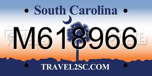 M618966 South Carolina License Plate