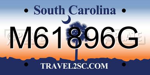 M61896G South Carolina License Plate