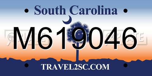 M619046 South Carolina License Plate
