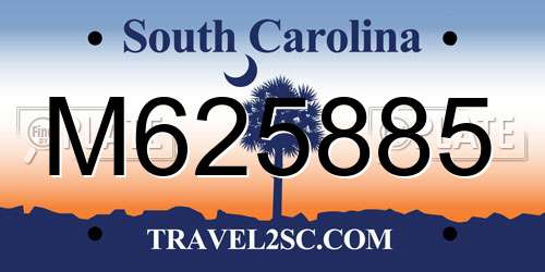 M625885 South Carolina License Plate
