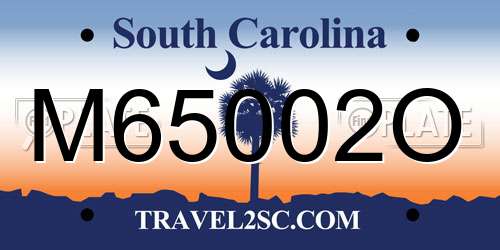 M65002O South Carolina License Plate