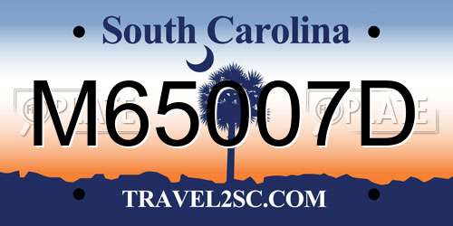 M65007D South Carolina License Plate