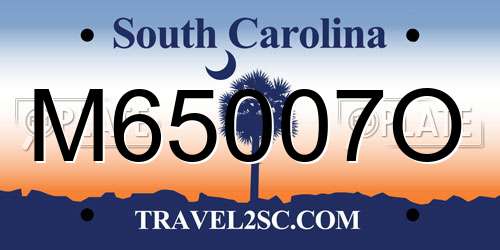 M65007O South Carolina License Plate