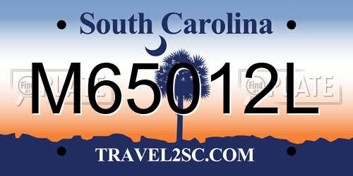 M65012L South Carolina License Plate