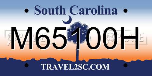 M65100H South Carolina License Plate