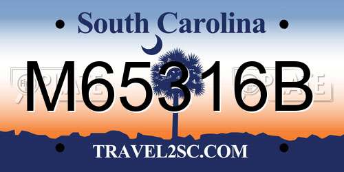 M65316B South Carolina License Plate