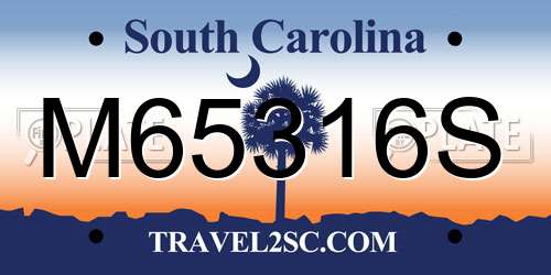 M65316S South Carolina License Plate