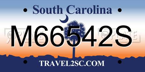 M66542S South Carolina License Plate