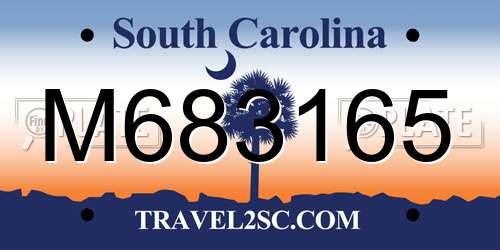 M683165 South Carolina License Plate