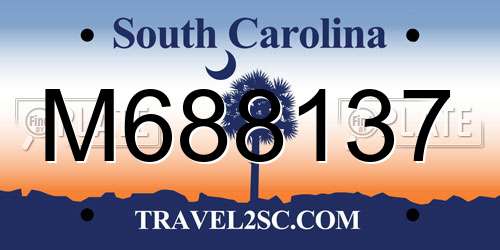 M688137 South Carolina License Plate
