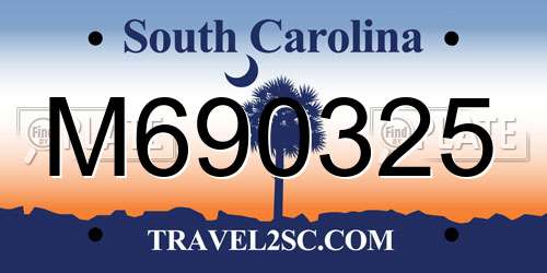 M690325 South Carolina License Plate