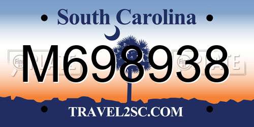M698938 South Carolina License Plate