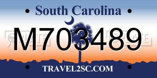 M703489 South Carolina License Plate