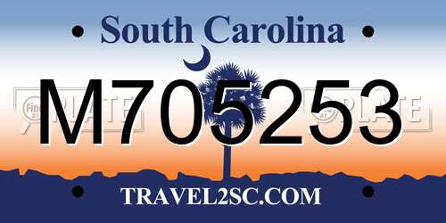M705253 South Carolina License Plate