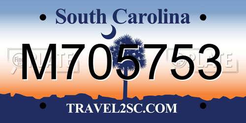 M705753 South Carolina License Plate
