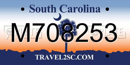 M708253 South Carolina License Plate