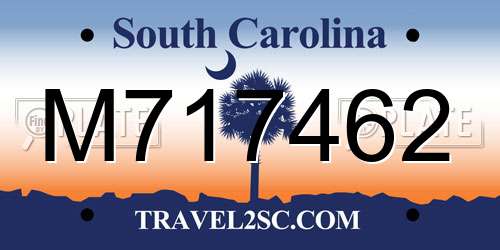 M717462 South Carolina License Plate