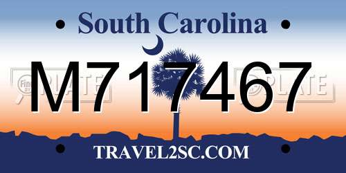 M717467 South Carolina License Plate