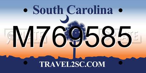 M769585 South Carolina License Plate