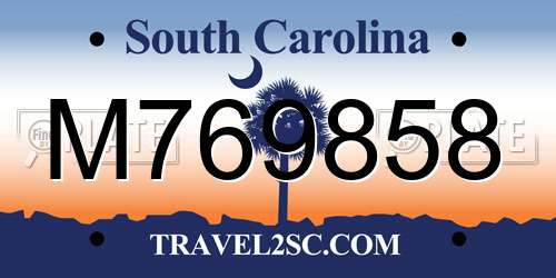 M769858 South Carolina License Plate