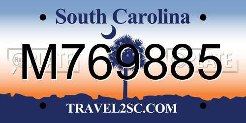M769885 South Carolina License Plate