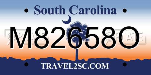 M82658O South Carolina License Plate
