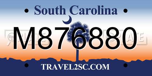 M876880 South Carolina License Plate