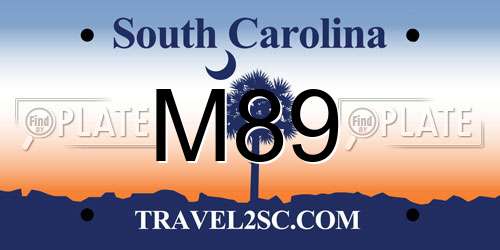 M89 South Carolina License Plate