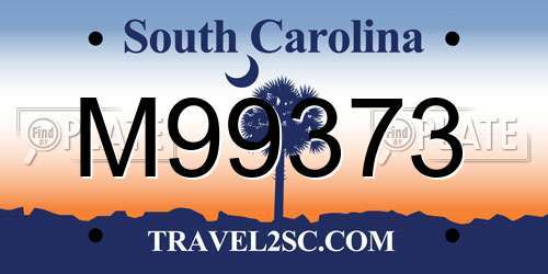 M99373 South Carolina License Plate