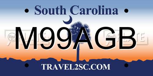 M99AGB South Carolina License Plate