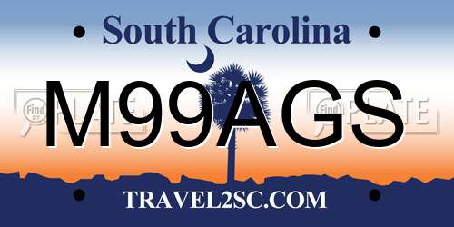 M99AGS South Carolina License Plate
