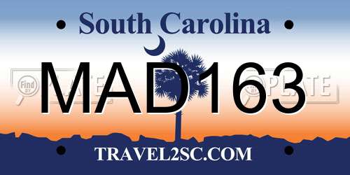 MAD163 South Carolina License Plate