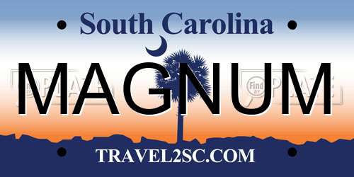 MAGNUM South Carolina License Plate