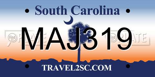 MAJ319 South Carolina License Plate