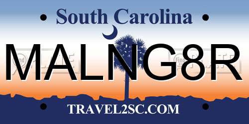 MALNG8R South Carolina License Plate
