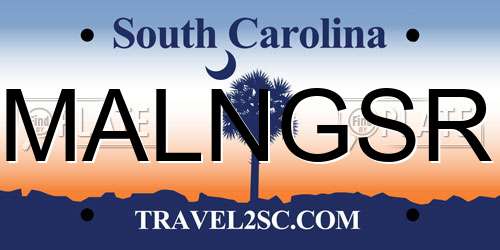 MALNGSR South Carolina License Plate