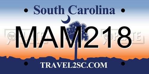 MAM218 South Carolina License Plate