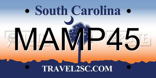 MAMP45 South Carolina License Plate